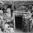Yukon gold mining history Olive Mine Dublin Gulch 1914 Eagle Gold Mine 2020