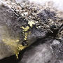 VG in drill core from Colomac gold project NWT