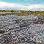 A picture of a pegmatite outcrop at MK1 on the MacKay project.