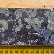 Section of half core showing massive sulfide minerals cut at Grizzly prospect.