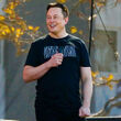 nickel Tesla Battery Day Critical Minerals Alliances Elon Musk Nickel West BHP
