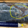 Section of drill core with a yellow circle around visible gold in a quartz vein.