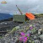 Alpine flowers grow out of rocks in front of drill at Cassiar gold project.