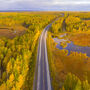 Paved highway cuts across sea of yellow foliage on a fall day in Alaska.