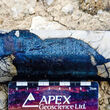 Massive chunks of blue bornite copper mineralization in a section of drill core.