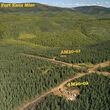 Amanita project Avidian Gold 2020 drill program assays Fort Knox Fairbanks map