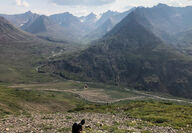 Cantex geologist stands on steep slope overlooking Yukon mountains.