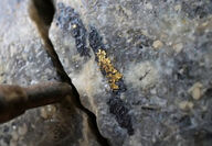 Closeup of visible gold observed in core from drilling at the Trapper target.