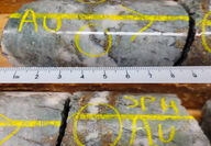 Visible gold speckles a section of core from a hole drilled at the Prew Zone.