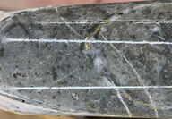 Stringer of visible gold along vein in core from drilling at Big Missouri.