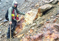 Metal rich volcanogenic massive sulfide VMS deposit near Haines AK
