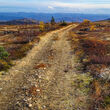 Two-track pioneer road cuts across the Flat gold property in Southwest Alaska.