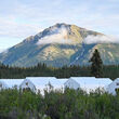 Snowline Gold’s 50-man Forks camp in Northeastern Yukon, Canada.