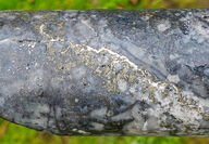A stringer of silver cuts across mineralized quartz in Dolly Varden drill core.