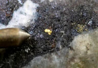 Closeup of visible gold in core from drilling at the Trapper target in BC.