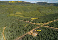 Amanita project Avidian Gold 2020 drill program assays Fort Knox Fairbanks map