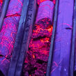 A network of silver-rich massive sulfide veins glow neon red under UV light.