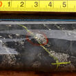 Visible gold in drill core from Blue Star’s Ulu property in Nunavut, Canada.