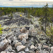 A more than 100-foot-wide body of white pegmatite in a northern boreal forest.