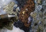 A close-up of visible gold in core from mineral exploration drilling at Thorn.