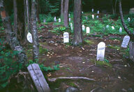 Eerie photo of Slide Cemetery in Dyea, Alaska, from the Palm Sunday Avalanche.