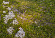 Aerial view of a large white pegmatite dyke cutting across the NWT landscape.