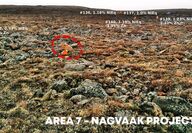 Rocks enriched with critical minerals a the Nagvaak property in Nunavut.
