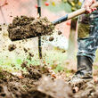 A gardener digs a shovel of soil in a garden.