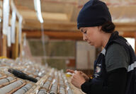 A female geotechnician tags a box of drill core at the Ranch project.