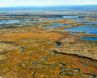 Aerial photo of Kaskanak Creek near Bristol Bay, Alaska.