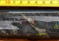 Visible gold in drill core from Blue Star’s Ulu property in Nunavut, Canada.