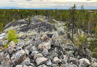 A more than 100-foot-wide body of white pegmatite in a northern boreal forest.