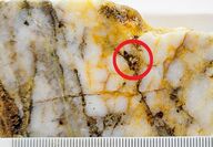 Visible gold found on core sample from drilling at Klondike’s Stander zone.
