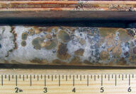 Drill core from Osisko Metals' high-grade zinc Pine Point project in NWT.