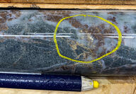 Section of drill core with a yellow circle around visible gold in a quartz vein.