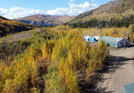 White Gold’s camp among golden trees in the mountains.