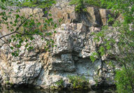 Large rock face with lithium-bearing pegmatite seen through trees in NWT.
