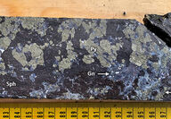 Section of half core showing massive sulfide minerals cut at Grizzly prospect.