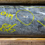 Core from drilling the Big Missouri deposit with a bleb of visible gold circled.