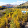 White Gold’s campsite in the White Gold District of Yukon, Canada.