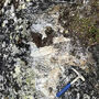 Hand pick laid across an exposed outcrop of a lithium-bearing pegmatite.