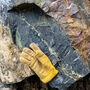Glove offers perspective of the much larger copper-rich rock discovered at Nico.