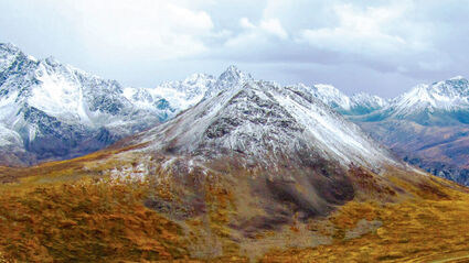 Snow-dusted mountains rise above orange landscape during fall in Alaska.