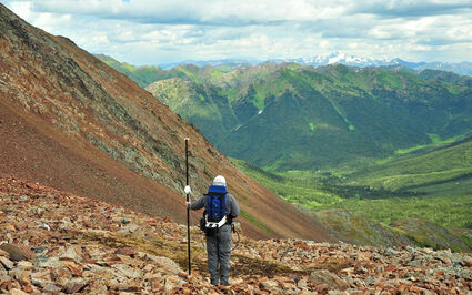 Geologist surveying the hills around Snowline Gold's Rogue property.