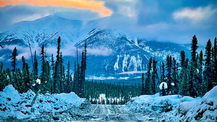 A road cut through the wintery wilderness of Yukon, Canada.