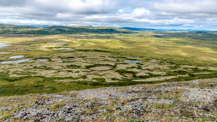A wide expanse of taiga at the Pebble copper mine project in Southwest Alaska.