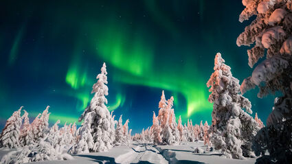 A brilliant Aurora display at the end of a snow-covered road in the North.