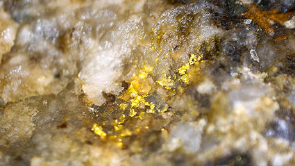 Visible gold, Plateau project Yukon, Newmont, Goldstrike exploration drilling