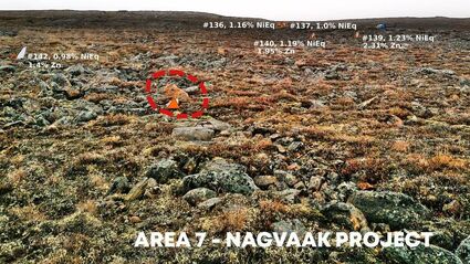 Rocks enriched with critical minerals a the Nagvaak property in Nunavut.