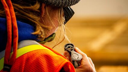 Blue Star geologist uses a loupe to check for gold mineralization in drill core.